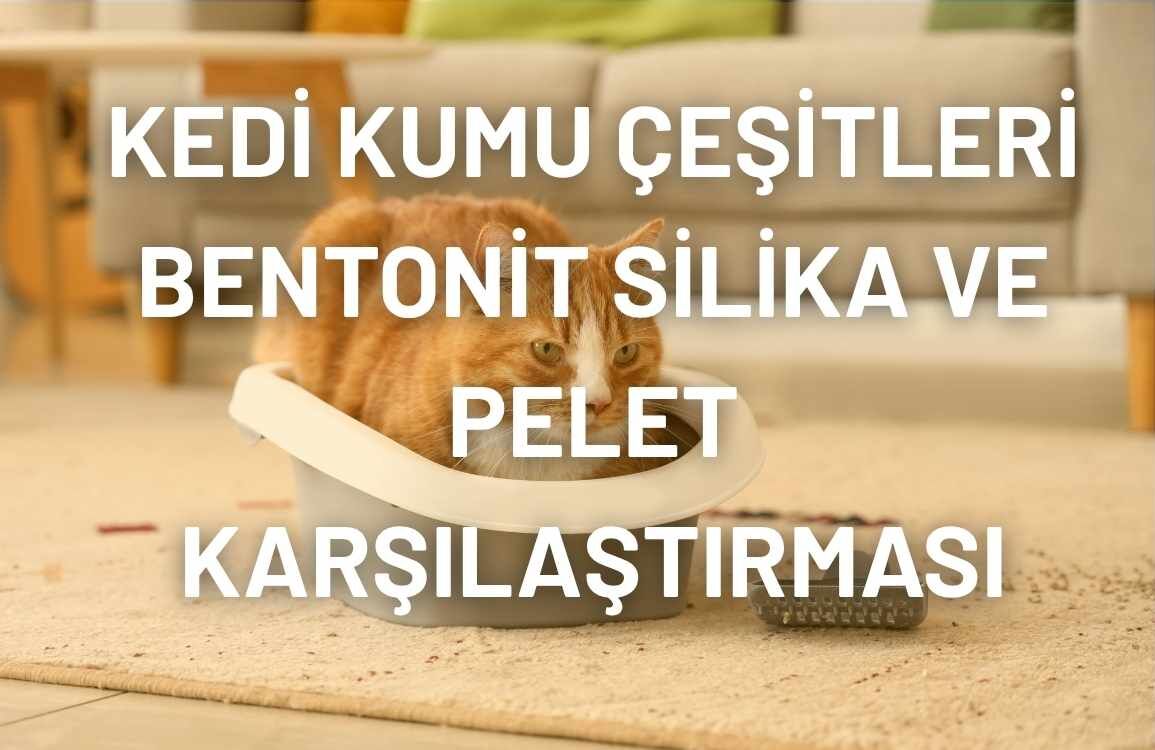 Kedi Kumu Çeşitleri Bentonit Silika ve Pelet Karşılaştırması