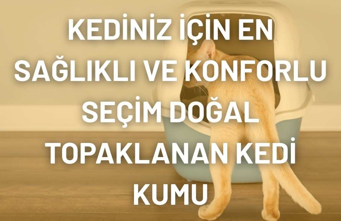 Kediniz İçin En Sağlıklı ve Konforlu Seçim Doğal Topaklanan Kedi Kumu