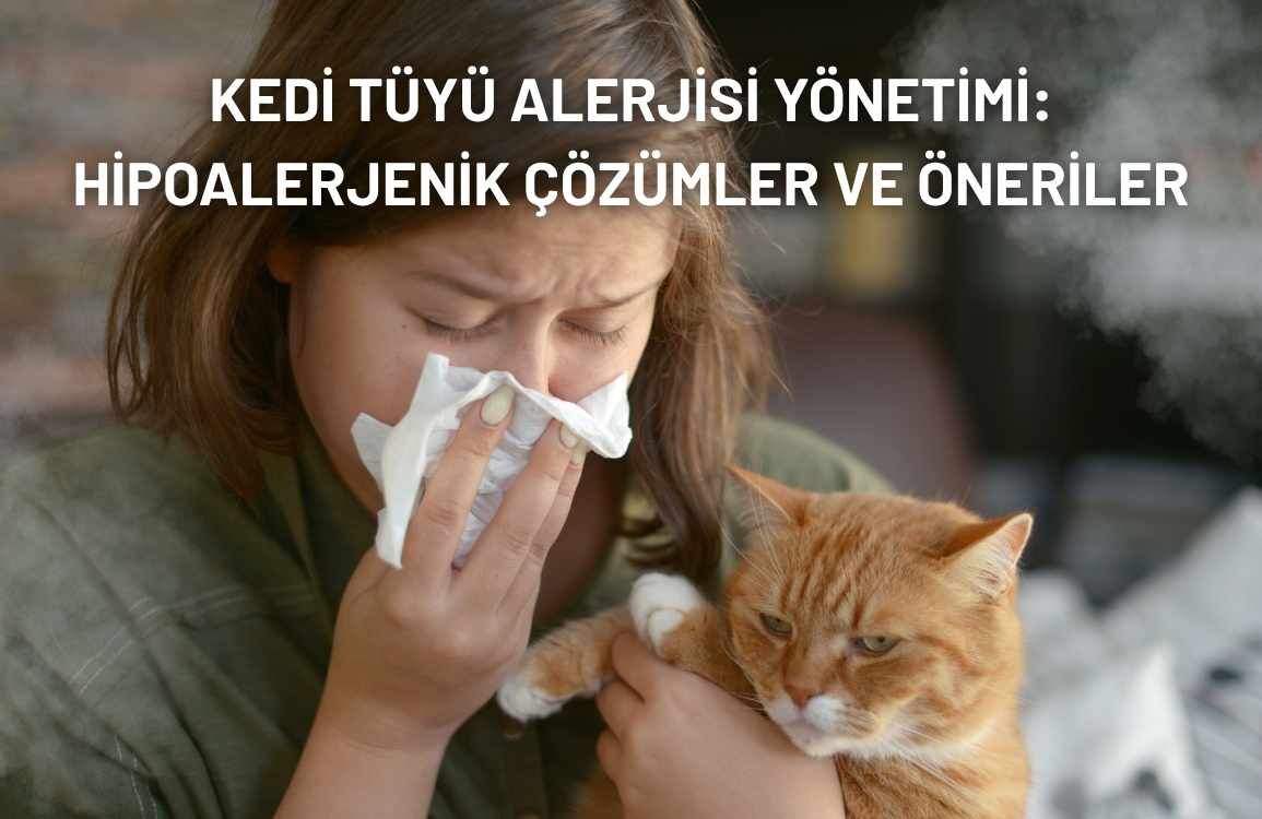 Kedi Tüyü Alerjisine Hipoalerjenik Çözümler ve Yönetim Rehberi