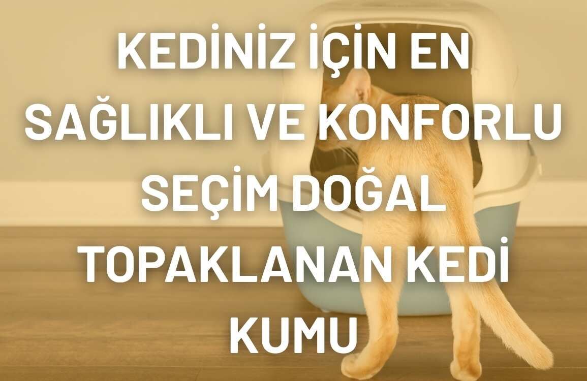 Topaklanan ve Kristal Kedi Kumu Karşılaştırması