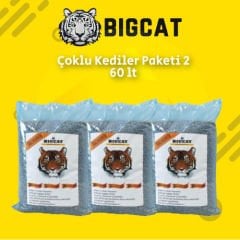BigCat Klasik Çoklu Kediler Paketi 2